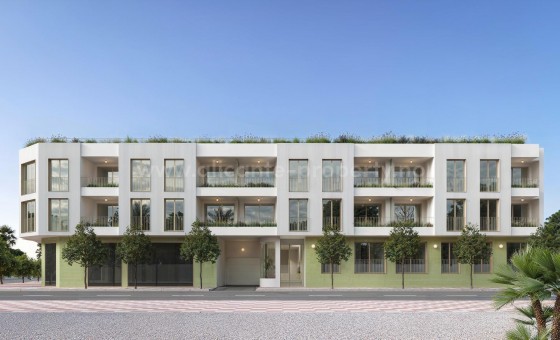 Apartment / flat - New Build - Jacarilla - NBG-69035