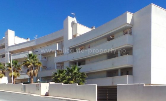Apartment / flat - New Build - Orihuela Costa - NBG-27718