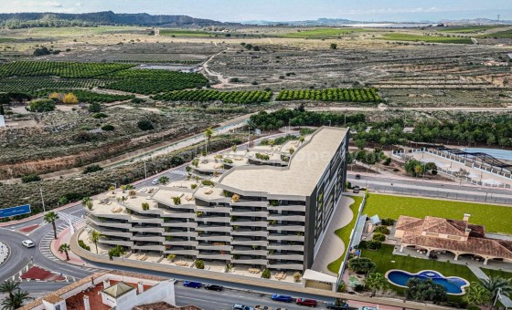 Apartment / flat - New Build - San Miguel de Salinas - Pueblo