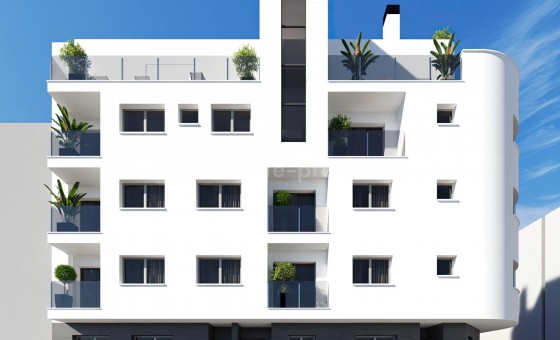 Apartment / flat - New Build - Torrevieja -
                Center