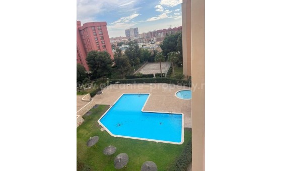 Apartment / flat - Resale - Alicante - Alicante Centro