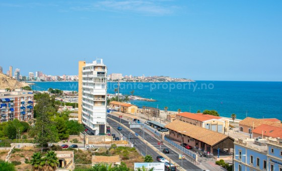 Apartment / flat - Resale - Alicante -
                Alicante Centro