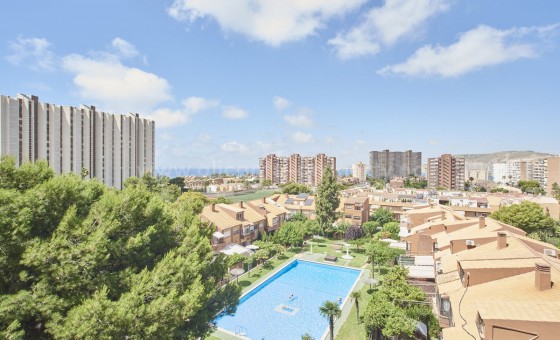 Apartment / flat - Resale - Alicante - Alicante City Centro