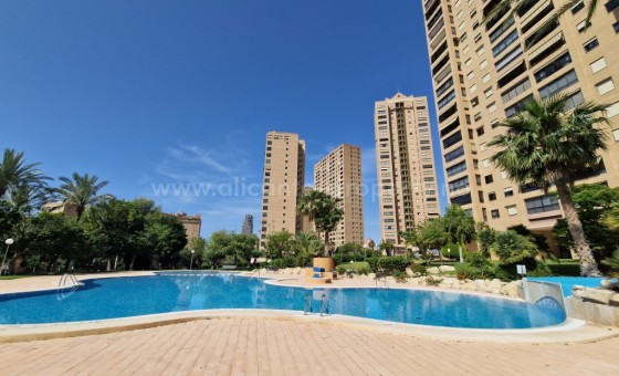 Apartment / flat - Resale - Benidorm - Benidorm Centro