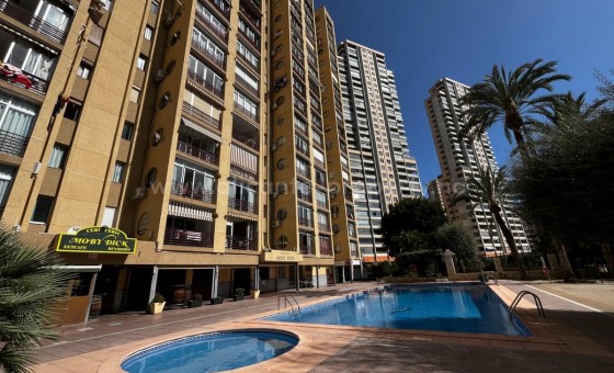 Apartment / flat - Resale - Benidorm -
                Benidorm Centro
