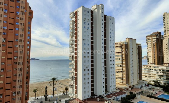 Apartment / flat - Resale - Benidorm - Benidorm Centro