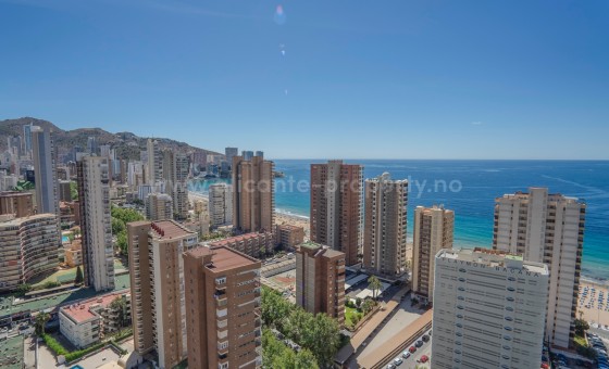 Apartment / flat - Resale - Benidorm - Benidorm