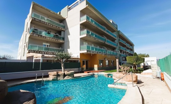 Apartment / flat - Resale - Cabo Roig -
                Cabo Roig