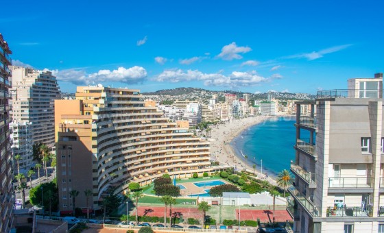 Apartment / flat - Resale - Calpe - Calpe Centro