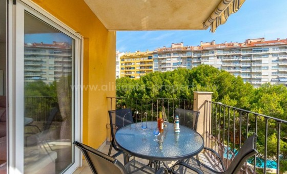 Apartment / flat - Resale - Campoamor -
                Campoamor
