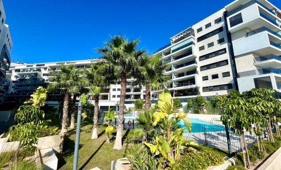 Apartment / flat - Resale - Campoamor - Campoamor