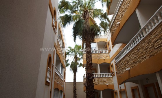 Apartment / flat - Resale - Formentera del Segura - Formentera del Segura Centro