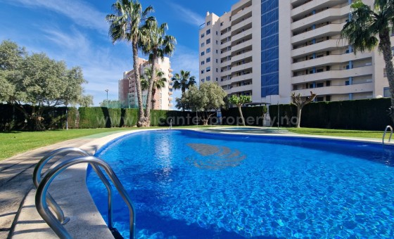 Apartment / flat - Resale - Guardamar del Segura - GAA-20440