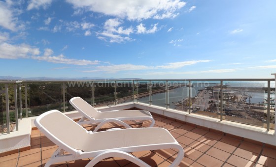 Apartment / flat - Resale - Guardamar del Segura - GAA-96659