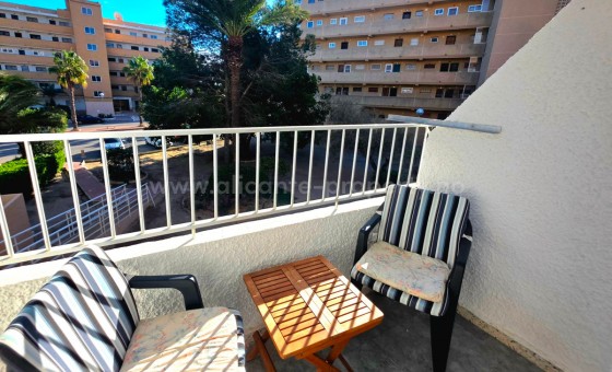 Apartment / flat - Resale - Guardamar del Segura -
                Guardamar del Segura Centro