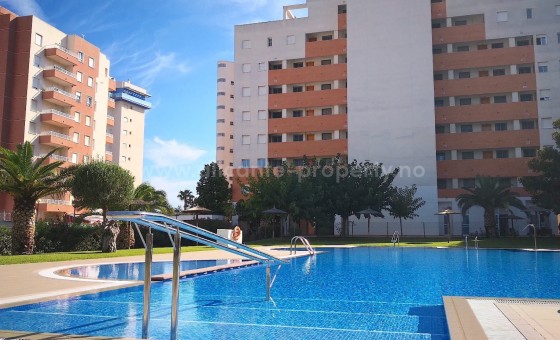 Apartment / flat - Resale - Guardamar del Segura -
                Guardamar del Segura