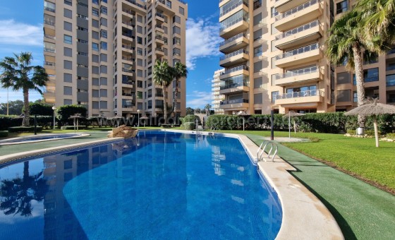 Apartment / flat - Resale - Guardamar del Segura -
                Guardamar del Segura