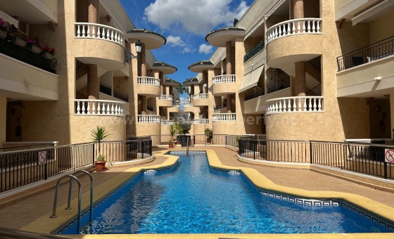 Apartment / flat - Resale - Jacarilla - Jacarilla
