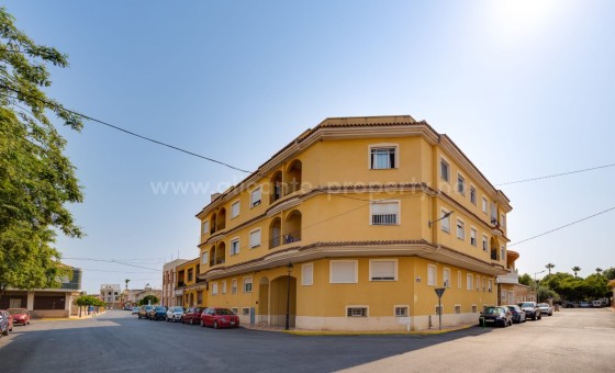 Apartment / flat - Resale - Jacarilla -
                Jacarilla