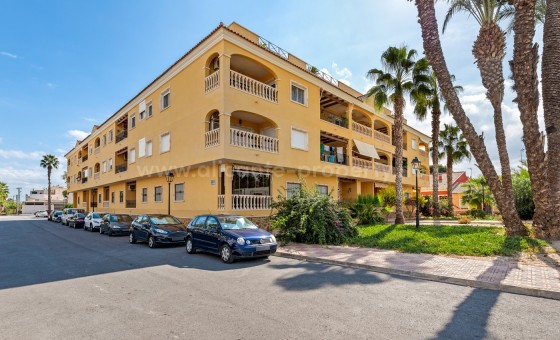 Apartment / flat - Resale - Jacarilla - Jacarilla