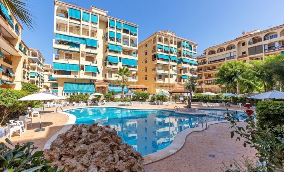 Apartment / flat - Resale - La Mata -
                La Mata