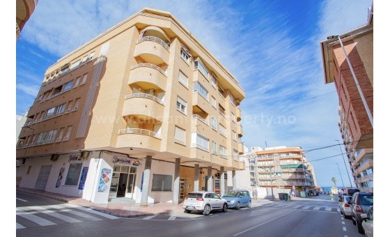 Apartment / flat - Resale - La Mata - La Mata