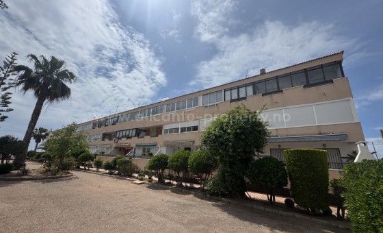 Apartment / flat - Resale - Mil Palmeras - Mil Palmeras