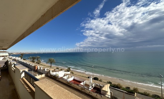 Apartment / flat - Resale - Mil Palmeras -
                Mil Palmeras