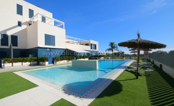 Apartment / flat - Resale - Playa Flamenca - Playa Flamenca
