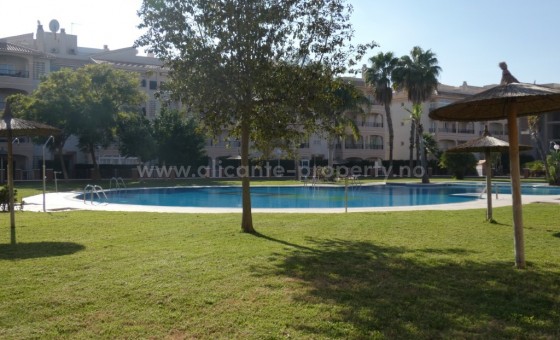 Apartment / flat - Resale - Playa Flamenca - Playa Flamenca