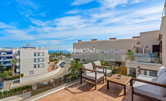 Apartment / flat - Resale - Playa Flamenca - Playa Flamenca