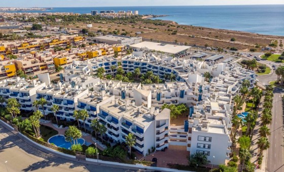Apartment / flat - Resale - Playa Flamenca - Playa Flamenca
