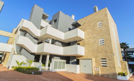 Apartment / flat - Resale - Playa Flamenca - Playa Flamenca