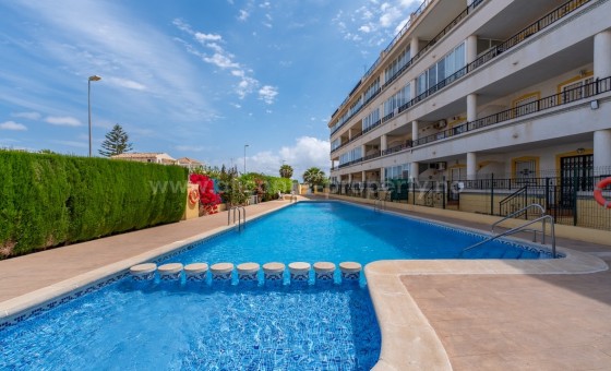 Apartment / flat - Resale - Playa Flamenca - Playa Flamenca