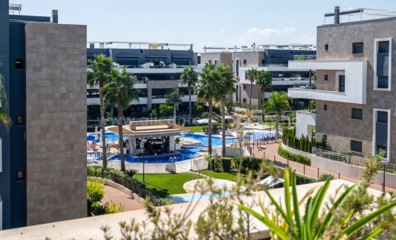 Apartment / flat - Resale - Playa Flamenca - Playa Flamenca