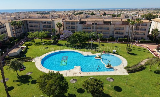 Apartment / flat - Resale - Playa Flamenca - Playa Flamenca