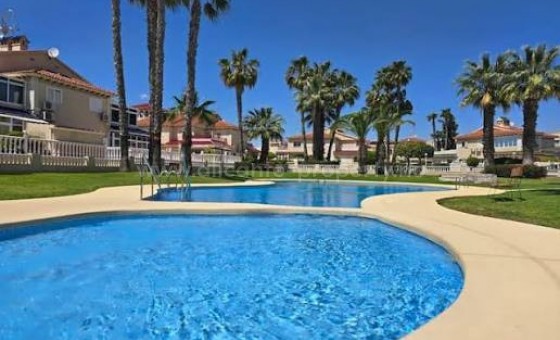 Apartment / flat - Resale - Playa Flamenca - Playa Flamenca