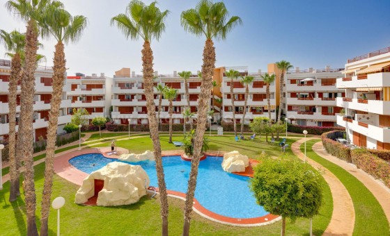 Apartment / flat - Resale - Playa Flamenca - Playa Flamenca