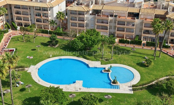 Apartment / flat - Resale - Playa Flamenca - Playa Flamenca