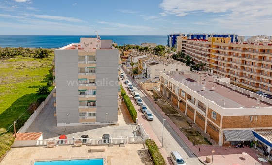 Apartment / flat - Resale - Punta Prima -
                Punta Prima