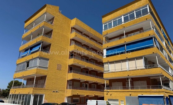 Apartment / flat - Resale - Punta Prima -
                Punta Prima
