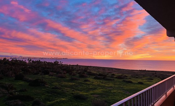 Apartment / flat - Resale - Punta Prima - Punta Prima