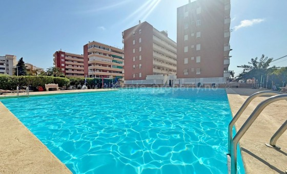Apartment / flat - Resale - Punta Prima -
                Punta Prima