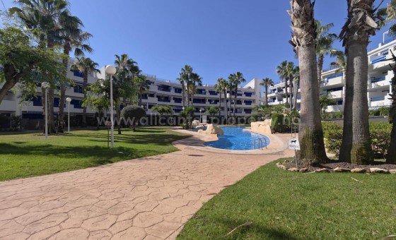 Apartment / flat - Resale - Punta Prima -
                Punta Prima