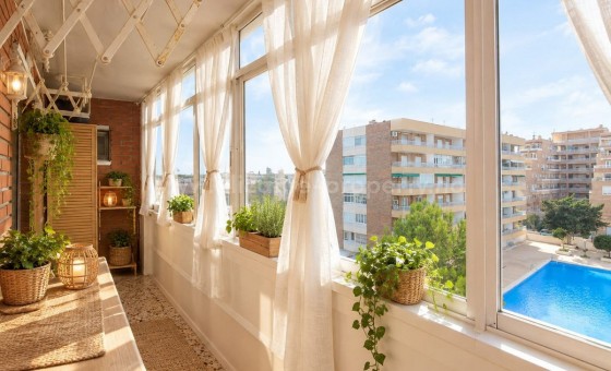 Apartment / flat - Resale - Punta Prima -
                Punta Prima