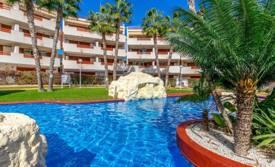 Apartment / flat - Resale - Punta Prima - Punta Prima