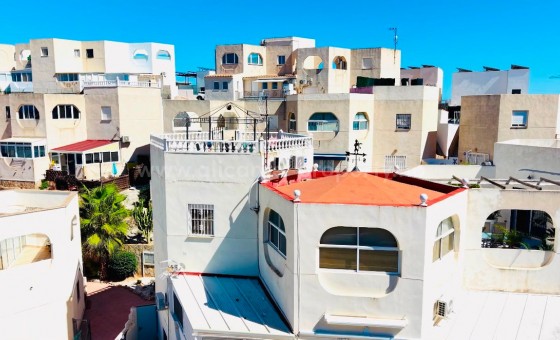 Apartment / flat - Resale - San Miguel de Salinas - San Miguel de Salinas Centro