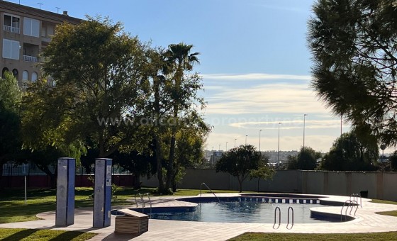 Apartment / flat - Resale - Torrevieja - Center