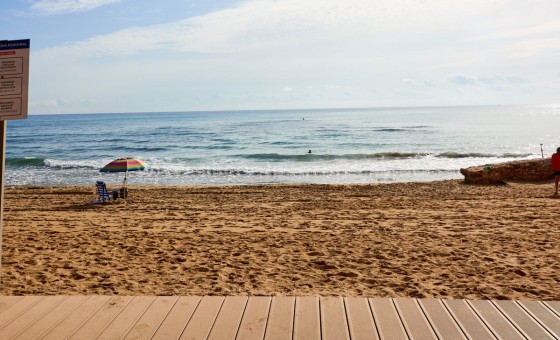 Apartment / flat - Resale - Torrevieja -
                La Mata