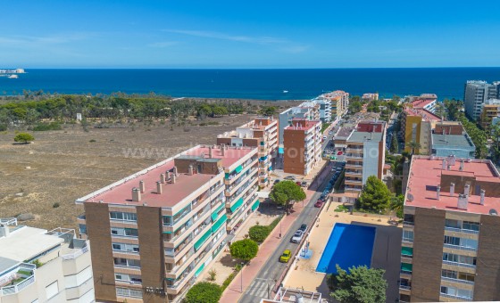 Apartment / flat - Resale - Torrevieja - Rocio del Mar